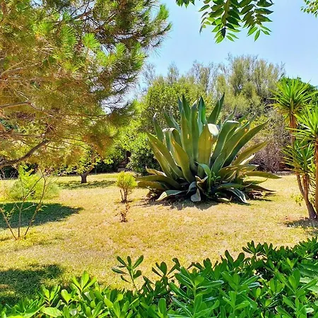 Mistral - Japigia Villa *